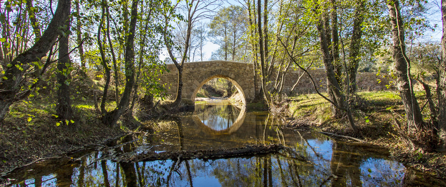 Puente Romano