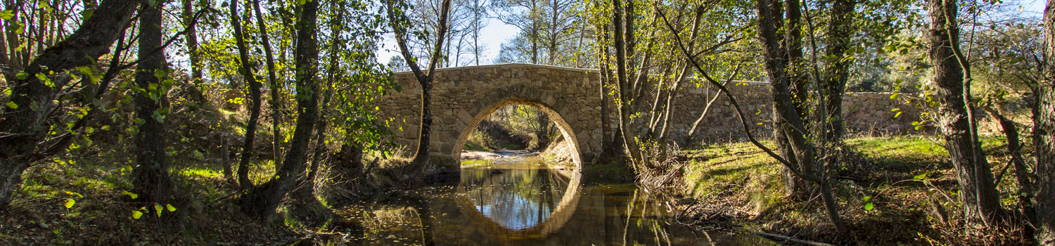 Puente Romano