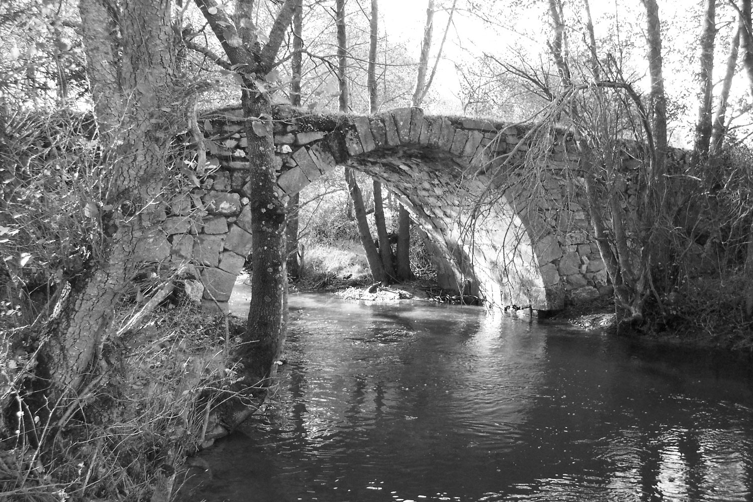 puente romano