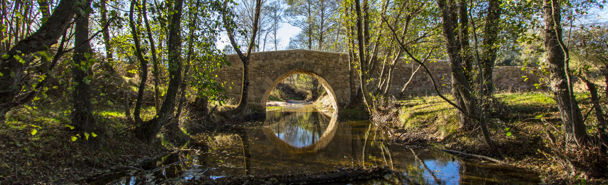 Senda Puente Romano